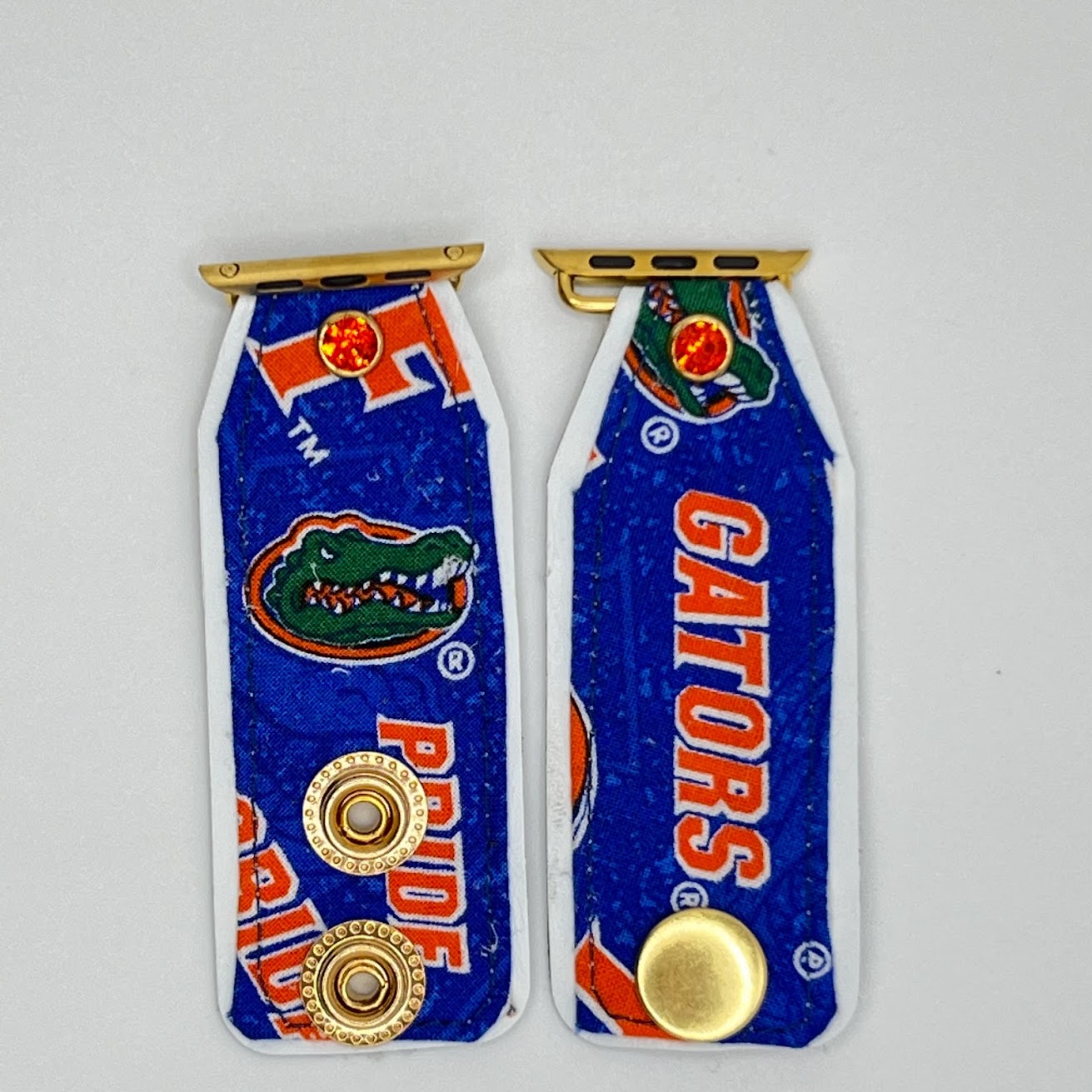 University of Florida - Gators!